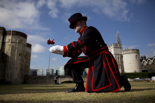Illustration for article titled 888,246 Handmade Poppies Surround the Tower of London to Commemorate WWI